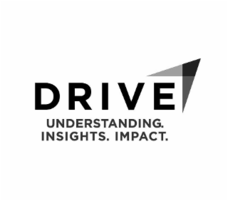 DRIVE UNDERSTANDING. INSIGHTS. IMPACT.
