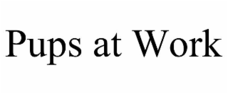 PUPS AT WORK