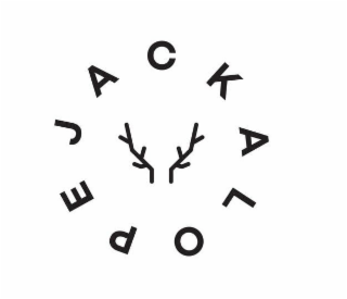 JACKALOPE