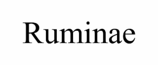 RUMINAE