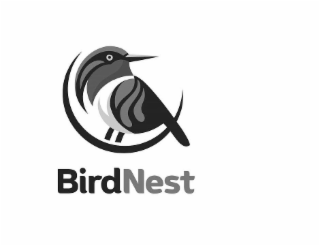 BIRDNEST