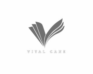 VITAL CANE