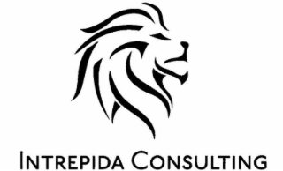 INTREPIDA CONSULTING