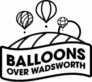 BALLOONS OVER WADSWORTH