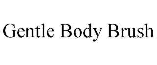 GENTLE BODY BRUSH