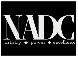 NADC ARTISTRY POWER EXCELLENCE