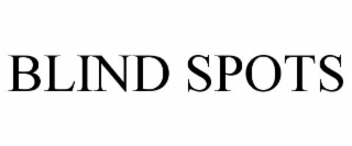 BLIND SPOTS