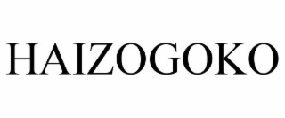HAIZOGOKO