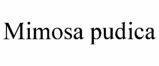 MIMOSA PUDICA