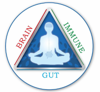 BRAIN IMMUNE GUT