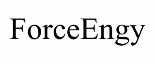 FORCEENGY