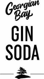 GEORGIAN BAY GIN SODA
