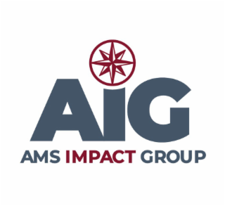 AIG AMS IMPACT GROUP