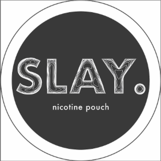 SLAY. NICOTINE POUCH