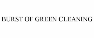 BURST OF GREEN CLEANING