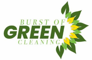 BURST OF GREEN CLEANING