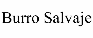 BURRO SALVAJE