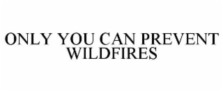 ONLY YOU CAN PREVENT WILDFIRES