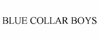 BLUE COLLAR BOYS