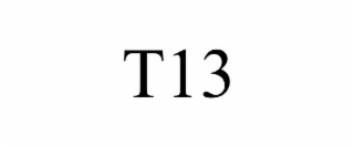T13