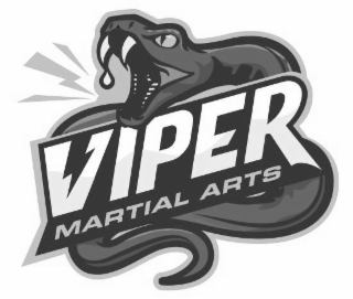 VIPER MARTIAL ARTS