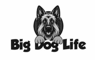 BIG DOG LIFE