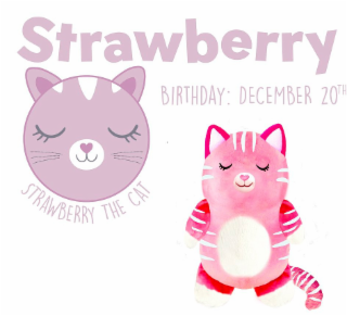 STRAWBERRY BIRTHDAY: DECEMBER 20TH STRAWBERRY THE CAT