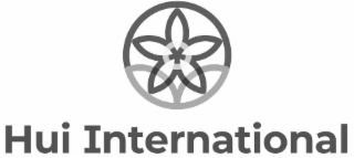 HUI INTERNATIONAL