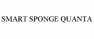 SMART SPONGE QUANTA