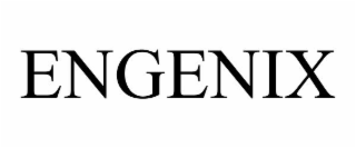 ENGENIX