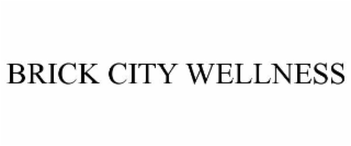BRICK CITY WELLNESS