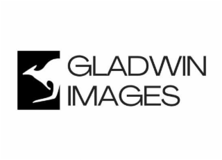 GLADWIN IMAGES