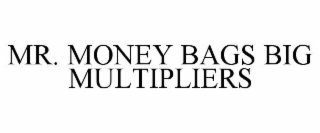 MR. MONEY BAGS BIG MULTIPLIERS