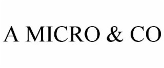 A MICRO & CO