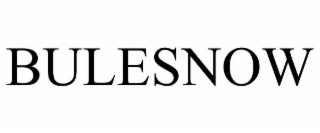 BULESNOW