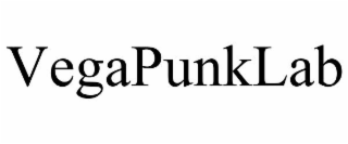 VEGAPUNKLAB