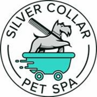 SILVER COLLAR PET SPA