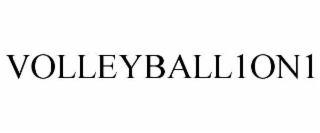 VOLLEYBALL1ON1