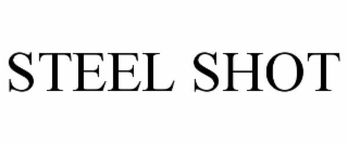 STEEL SHOT