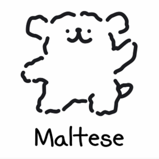 MALTESE