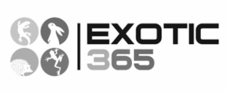 EXOTIC 365