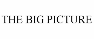 THE BIG PICTURE