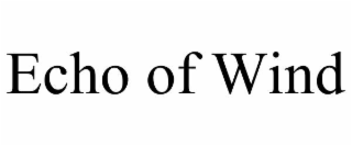 ECHO OF WIND