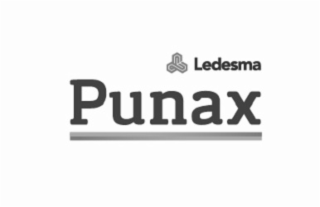 LEDESMA PUNAX
