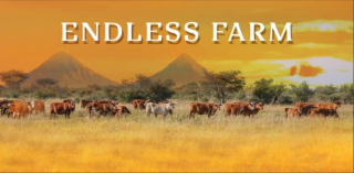 ENDLESS FARM