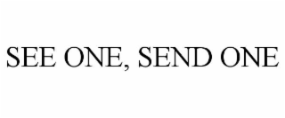 SEE ONE, SEND ONE
