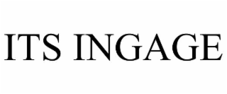 ITS INGAGE