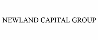 NEWLAND CAPITAL GROUP