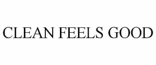 CLEAN FEELS GOOD
