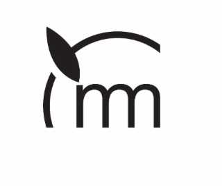 MM